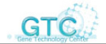 Gene Technology Center