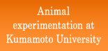 Animal experimentation at Kumamoto University
